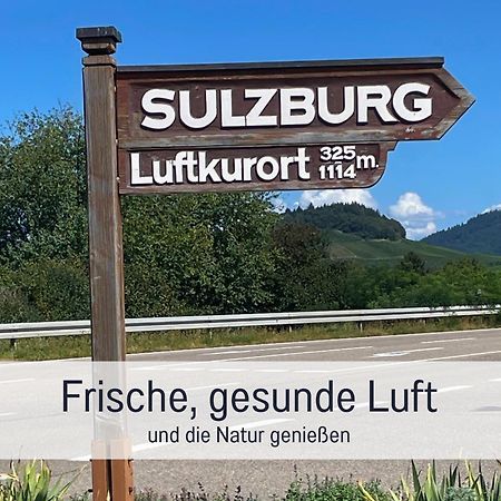 Ferienwohnungen Auszeit Langmatt Зульцбург Экстерьер фото