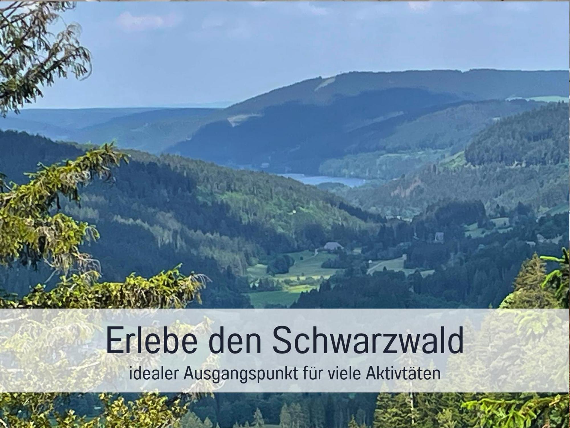 Ferienwohnungen Auszeit Langmatt Зульцбург Экстерьер фото