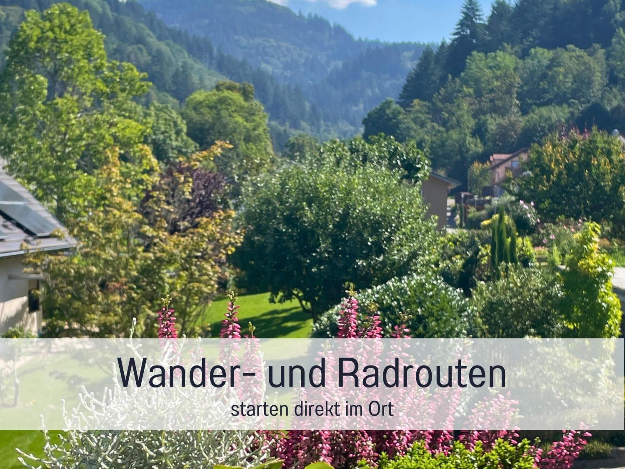 Ferienwohnungen Auszeit Langmatt Зульцбург Экстерьер фото